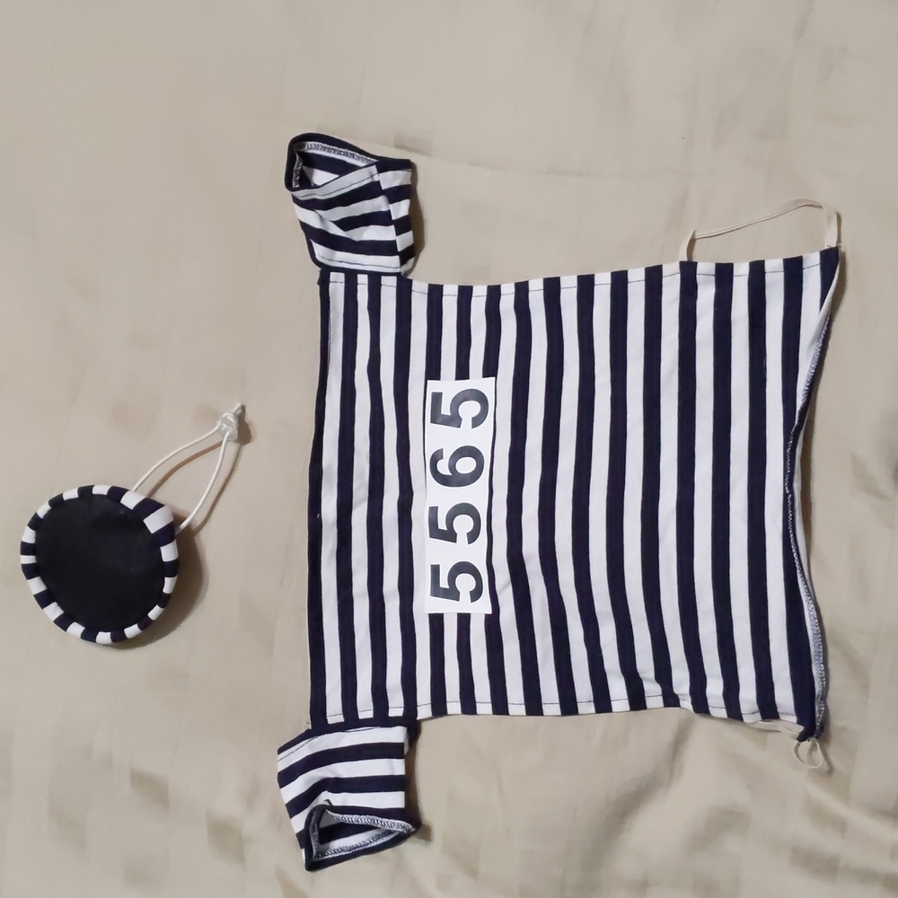 Two Small dog/cat Halloween costumes